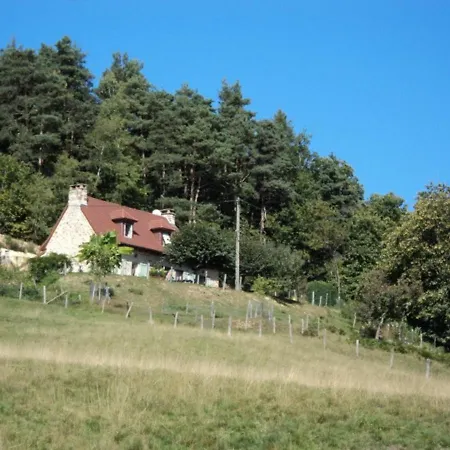 Maison De Caractere Renovee Au Coeur Du Cantal Avec Jardin Clos, Cheminee Et Wifi - 6 Pers - Fr-1-742-476 * Vitrac (Cantal)