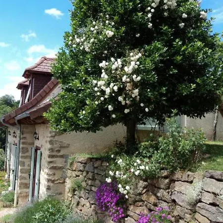 Maison De Caractere Renovee Au Coeur Du Cantal Avec Jardin Clos, Cheminee Et Wifi - 6 Pers - Fr-1-742-476 *